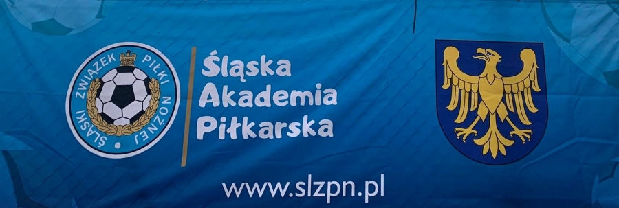 Powołania do Śląskiej Akademii Piłkarskiej w Pawonkowie